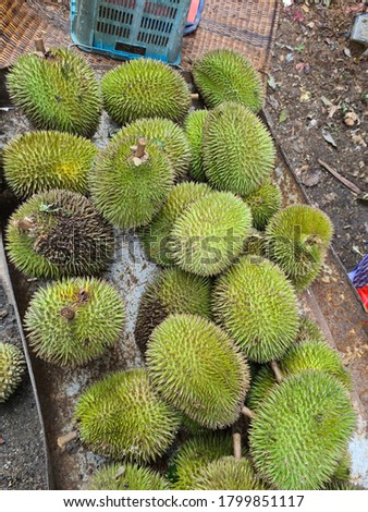 Stock photo: Durian Fruits Selling At Road Side