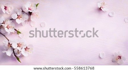 Floral Background Zdjęcia stock © Konstanttin