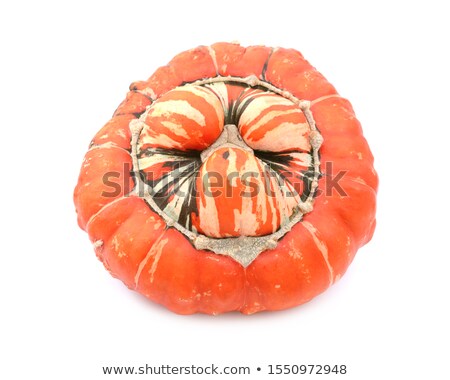 Stock fotó: Ribbed And Warty Orange Turban Squash With Striped Lobed Centre