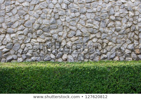 Stock fotó: Stone Pebbles Background Texture Landscape Architecture