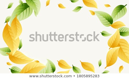 Foto stock: Leaves Frame Background In Green And Pale Orange Yellow Shade