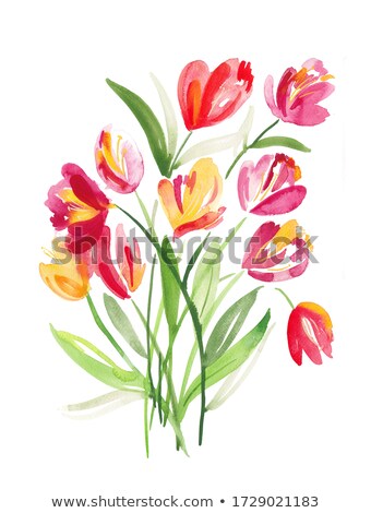 [[stock_photo]]: Beautiful Dutch Tulips