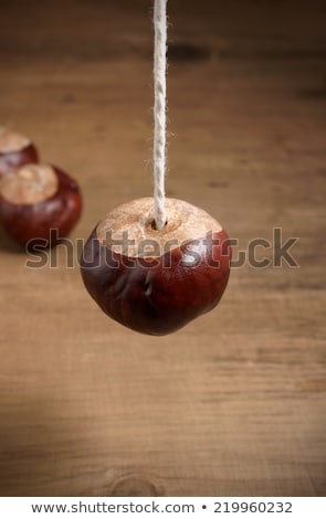 Stock fotó: Conker And String