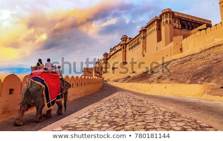 ストックフォト: Famous Amber Fort In Jaipur