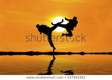 Stockfoto: Judo At Sunset