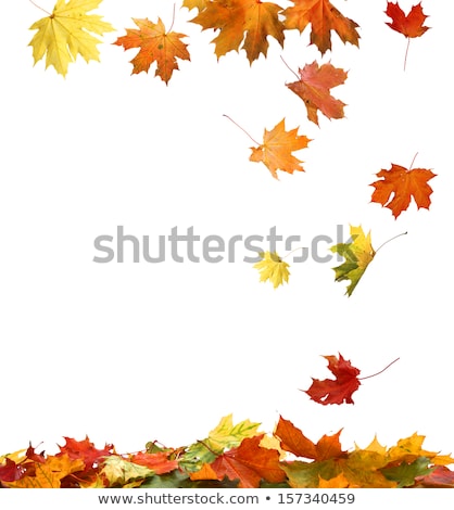 [[stock_photo]]: Frame Of Autumn Leafs