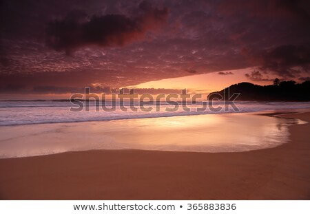 Stok fotoğraf: Dawn Colours At Warriewood Beach