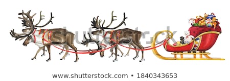 Stock foto: Christmas Watercolor Illustration Of Reindeer