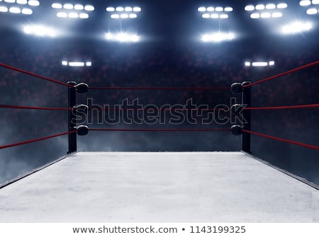 Stock fotó: Boxers Fighting In Boxing Ring