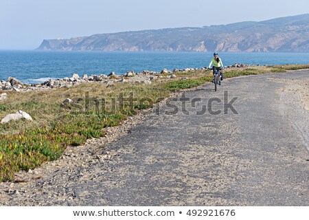 Stok fotoğraf: Portugal Mountians Road