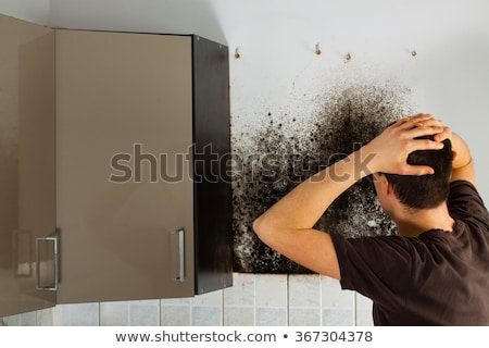 Stok fotoğraf: Man Looking At Mold On Wall