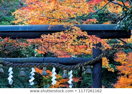 Stockfoto: Nonomiya Shrine Temple Kyoto Japan