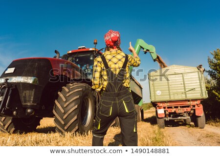 Stock foto: Farmer Woman Watching The Wheat Being Loaded During Harvest