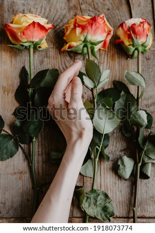 Stock photo: Couple Foreplay With Flowers 3