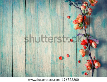 Foto d'archivio: Close Up Pink Wooden Background