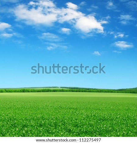 Stock fotó: Rural Scenic Landscape With Blue Sky And Clouds Green Fields Yellow Meadows In A Summer Sunny Day