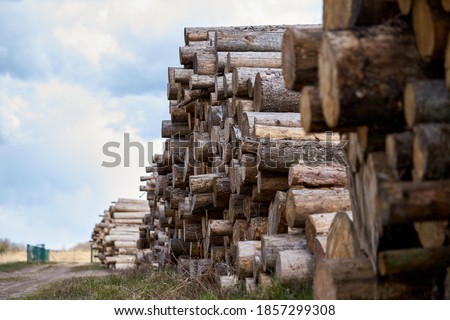 Stock fotó: Pile Of Wooden Logs