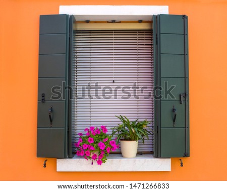 Venetian Windows With Flowers ストックフォト © chrisdorney