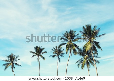 Stock photo: Coconut Palm And Blue Sky