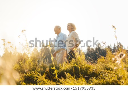 Stock photo: Senior Couple On A Sunlit Meadow Embracing Each Other