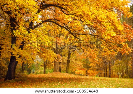 Peaceful Autumn Background Imagine de stoc © Taiga