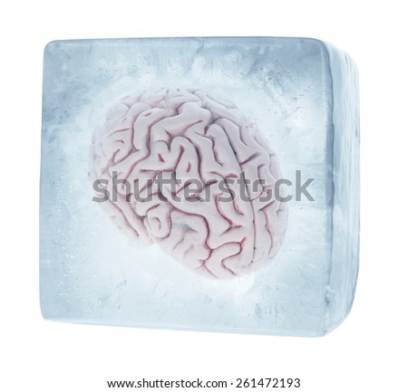 Stok fotoğraf: Frozen Brain