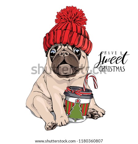 商業照片: Christmas Dog With Cup