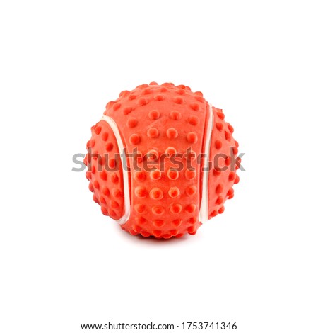 Foto stock: Dog With Pet Toys