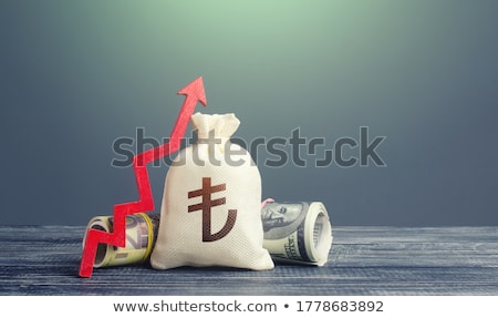 [[stock_photo]]: Turkish Lira Money Bag And Red Arrow Up Growth Of Economy And Increase Of Investment Attractiveness