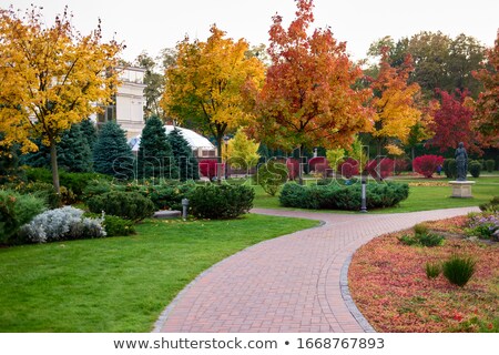 Stockfoto: Autumn Colored Bush On A Lawn
