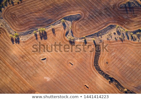 Foto d'archivio: Outback Agricultural And Farming Field