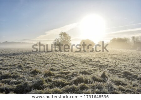 Сток-фото: Frost And Fog