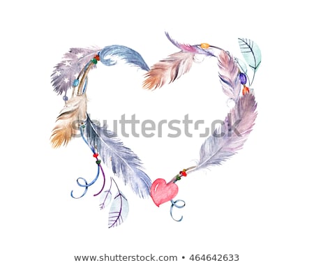ストックフォト: Feathers And Heart
