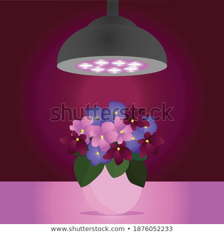 Foto stock: Full Spectrum Light Bulbs