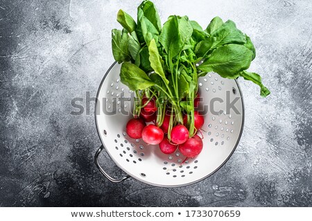 Stock fotó: Fresh Radish