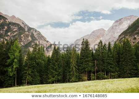 Stock photo: Lovely Alpine Scenery With Beautiful Forest High Mountains