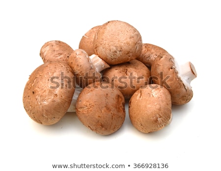 [[stock_photo]]: Chestnut Mushroom