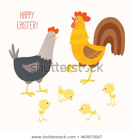 Foto stock: Chicken Hand Drawn Happy White Hen Vector