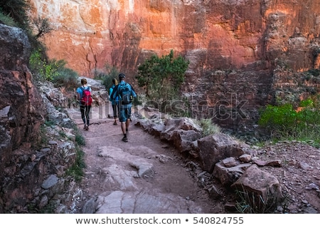 Stock fotó: Group Of Friends With Backpacks At Grand Canyon