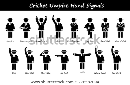 Cricket Umpire Icon ストックフォト © Leremy