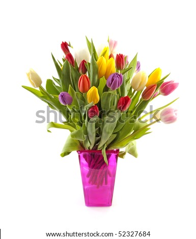 Foto stock: Dutch Tulips In Pink Vase