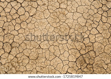 Сток-фото: Dried And Cracked Earth