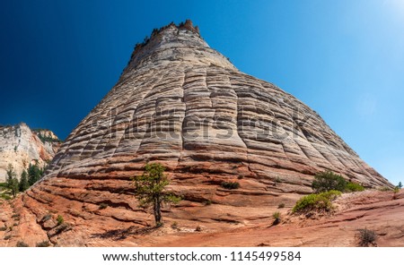 ストックフォト: Checkerboard Mesa At Zion National Park