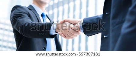 Foto d'archivio: Firm Handshake Of Business Partners