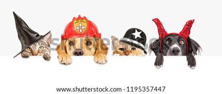 Stock photo: Row Of Halloween Dogs