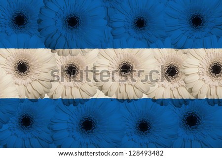 Stylized National Flag Of Nicaragua With Gerbera Flowers [[stock_photo]] © vepar5