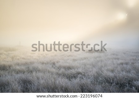 Foto stock: Stunning Sun Beams Light Up Fog Through Thick Fog Of Autumn Fall