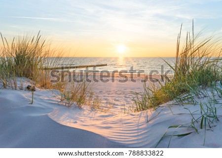 Stock photo: Dune Grass On The Beach