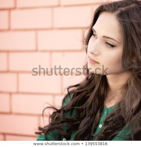 Zdjęcia stock: Young Elegant Woman In Front Of Brick Wall Backround