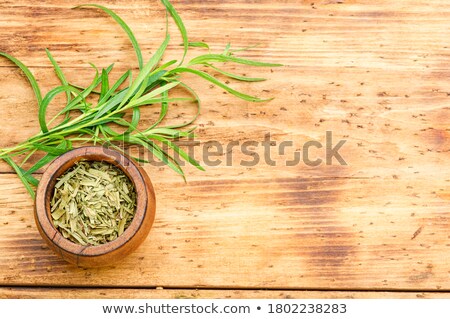 Stock photo: Tarragon